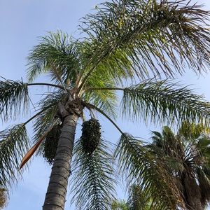 Meet your Posher, Yvonne